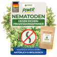 Nematoden gegen Eichenprozessionsspinner