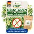 Nematoden gegen Feigen-Spreizflügelfalter