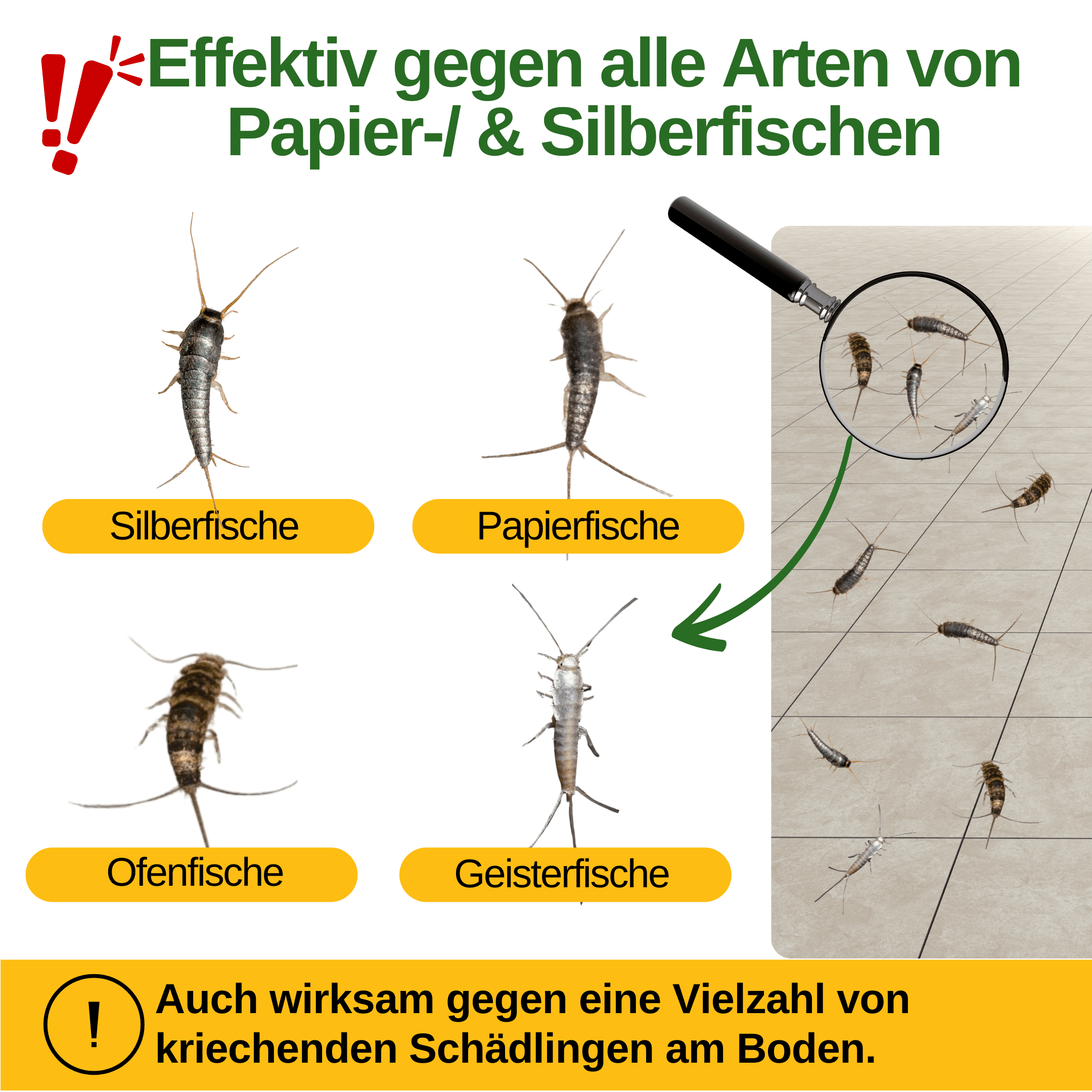 Papierfisch Falle mit Spezial - Lockstoff - Green Guardia - Ihr Experte für Schädlinge und Pflanzen