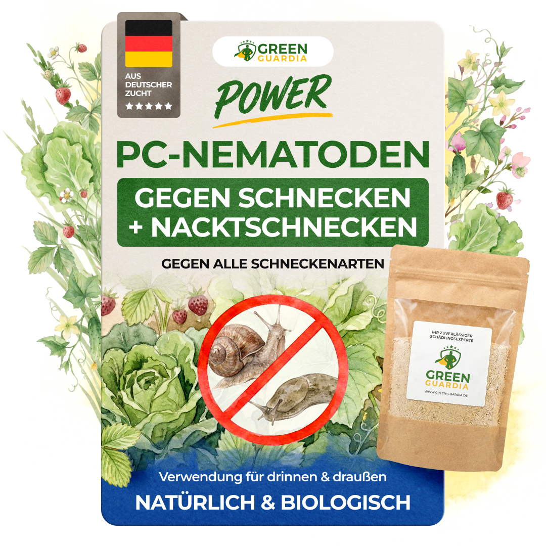 PC nematodes against snails and slugs