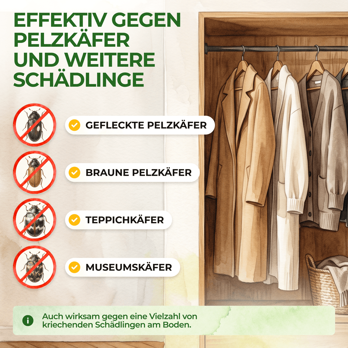 Pelzkäfer Falle - Green Guardia - Ihr Experte für Schädlinge und Pflanzen