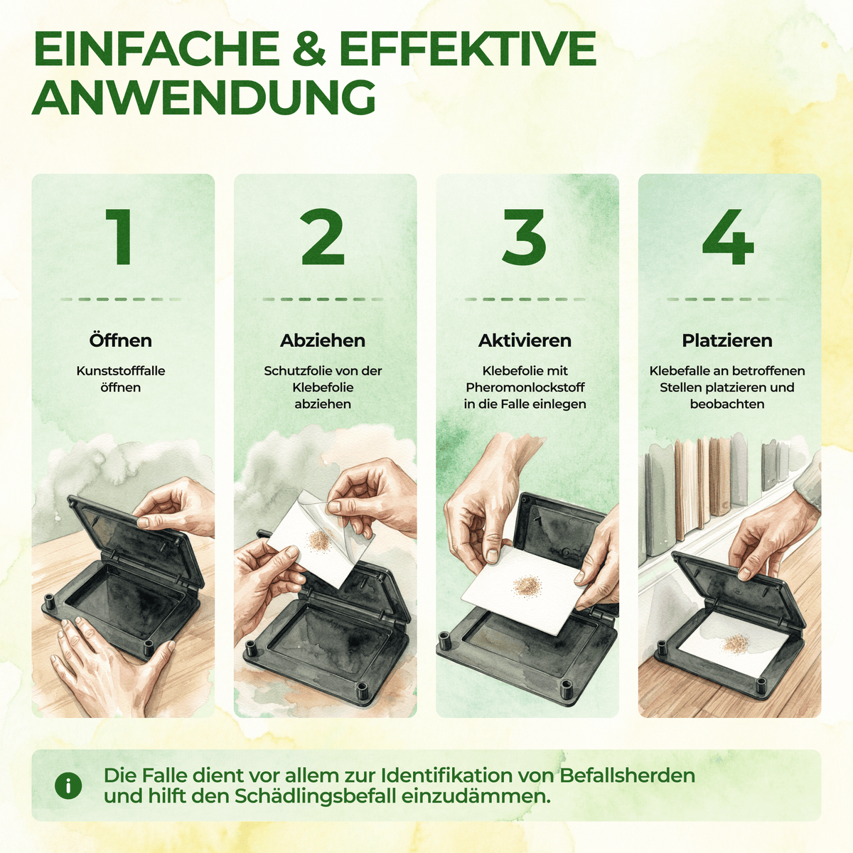 Pelzkäfer Falle - Green Guardia - Ihr Experte für Schädlinge und Pflanzen