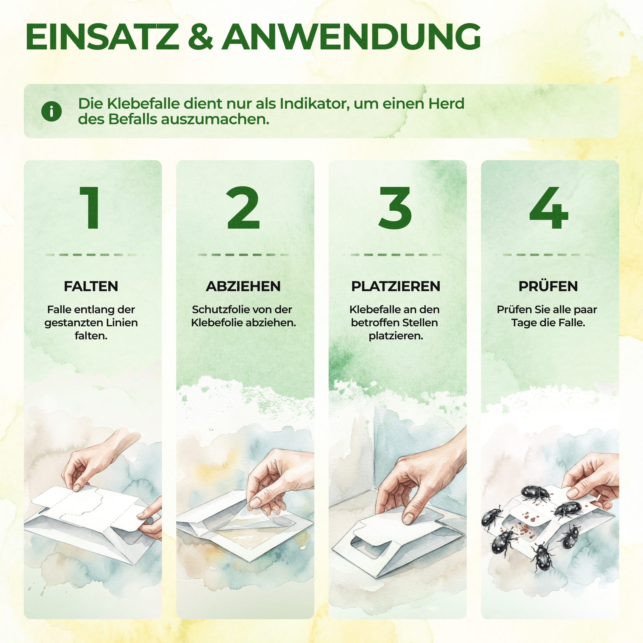 Pelzkäfer Falle - Green Guardia - Ihr Experte für Schädlinge und Pflanzen
