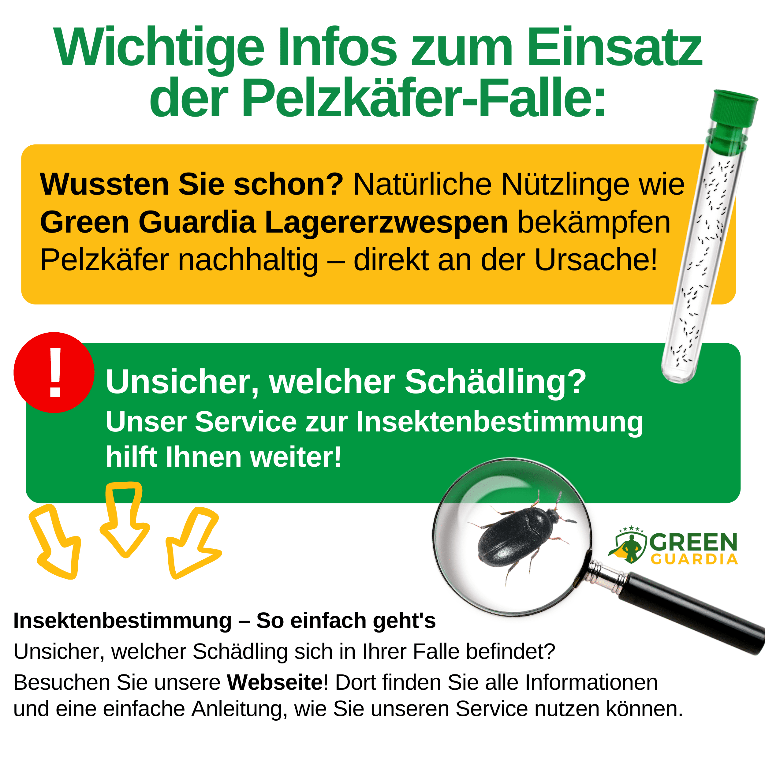 Pelzkäfer Falle mit Pheromon - Lockstoff - Green Guardia - Ihr Experte für Schädlinge und Pflanzen