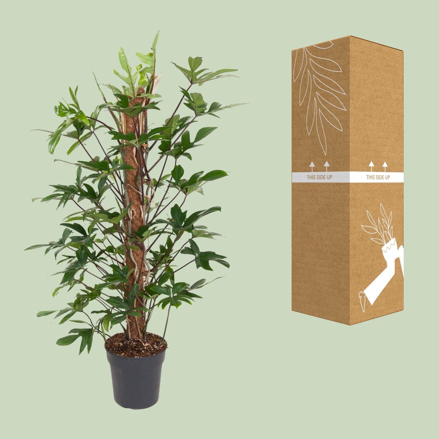 laurel planter 23” Fall Laurel Leaf with Berries Artificial Plant in White Planter