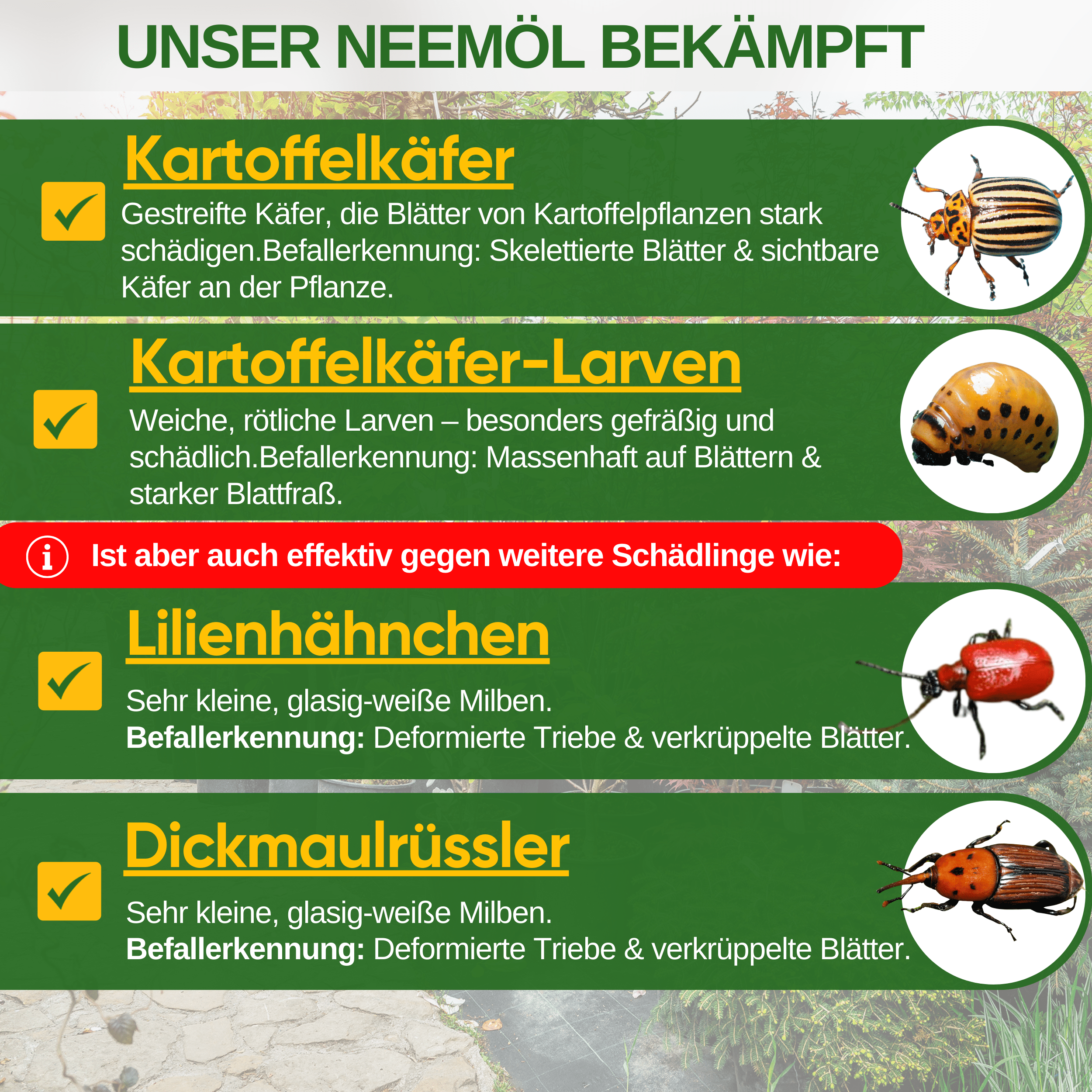 Power Neemöl gegen Kartoffelkäfer - Green Guardia - Ihr Experte für Schädlinge und Pflanzen