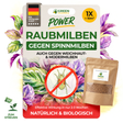 Ácaros depredadores contra la araña roja – producto suelto
