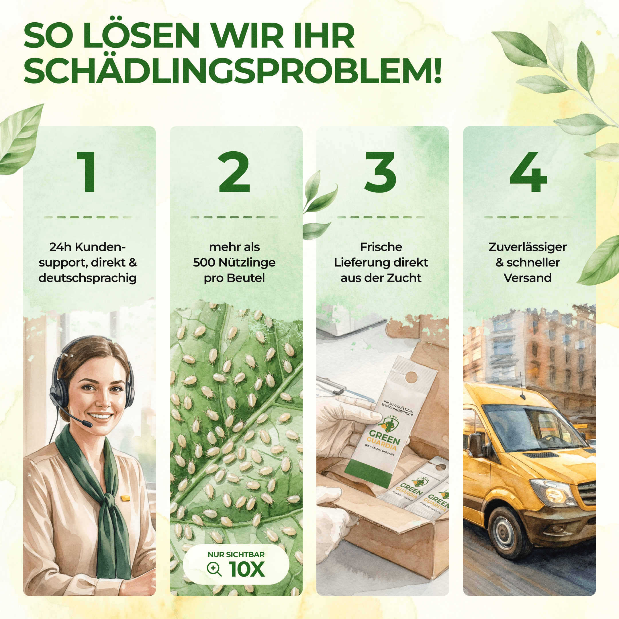 Raubmilben gegen Thripse - Green Guardia - Ihr Experte für Schädlinge und Pflanzen