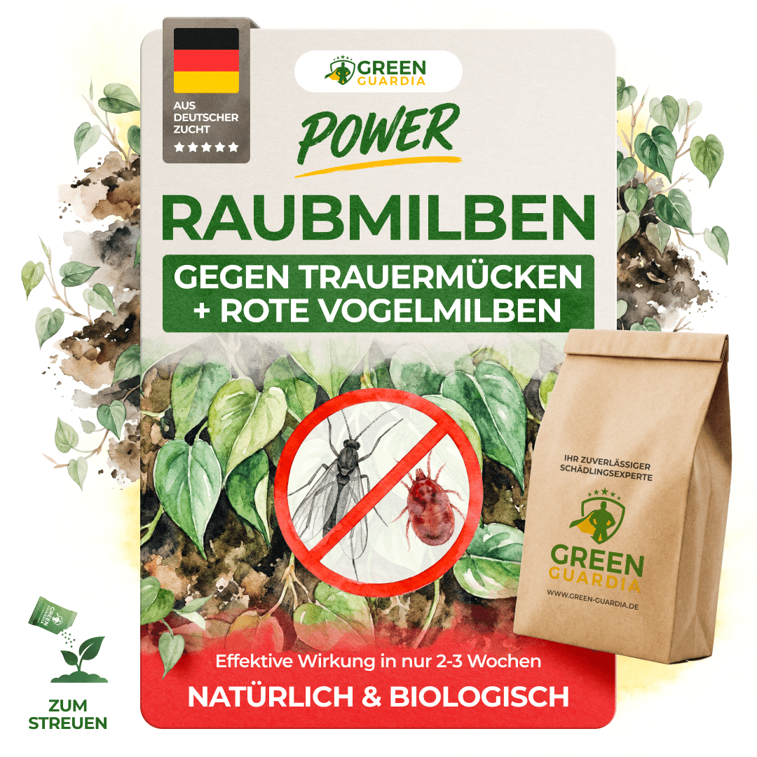 Raubmilben Mix gegen Trauermücken & Rote Vogelmilben - Green Guardia - Ihr Experte für Schädlinge und Pflanzen