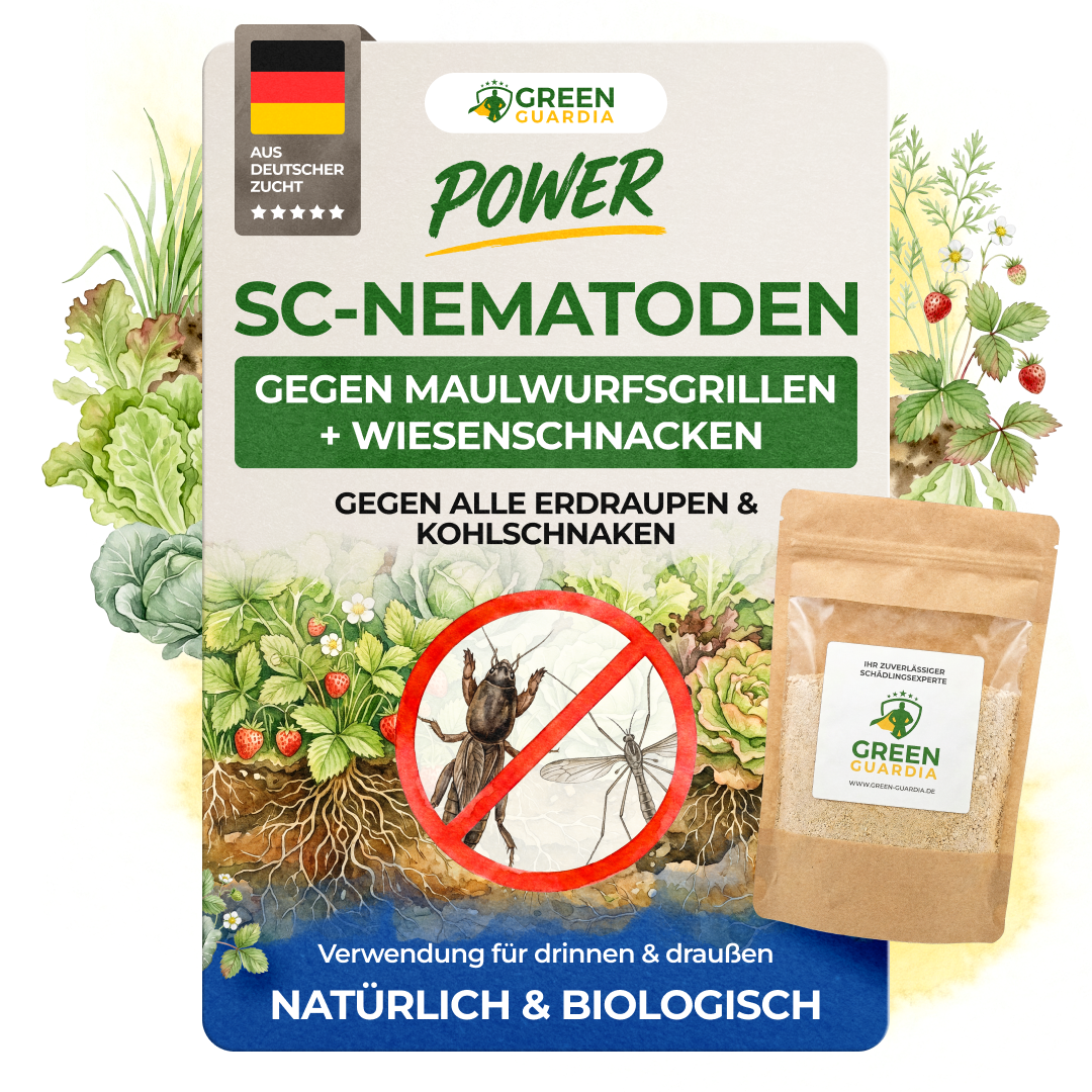 SC nematodes against mole crickets, crane flies and cutworms