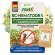 Nematodos SC contra grillos topo, saltamontes y gusanos cortadores