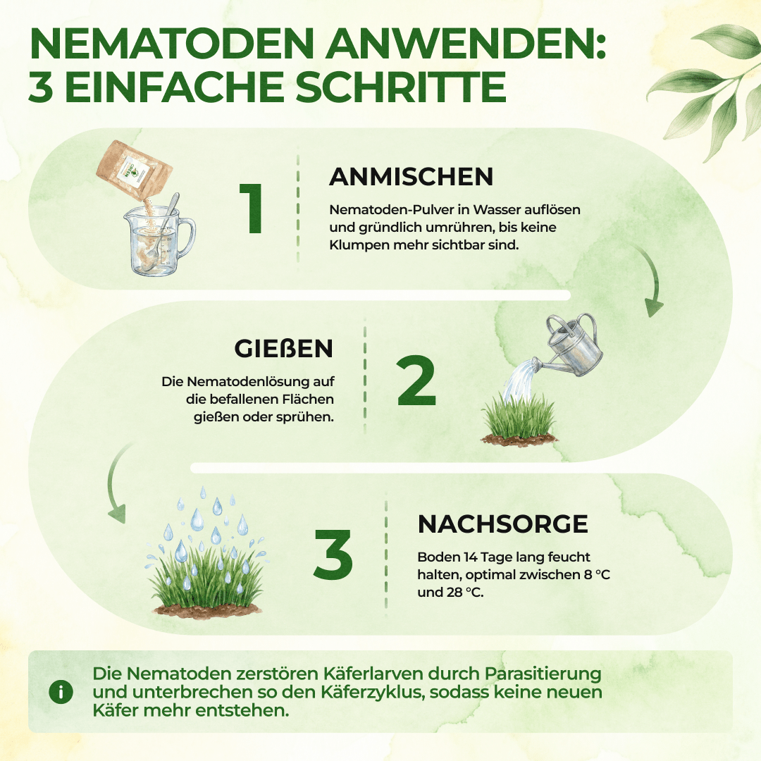 SC - Nematoden gegen Maulwurfsgrillen, Wiesenschnaken und Erdraupen - Green Guardia - Ihr Experte für Schädlinge und Pflanzen