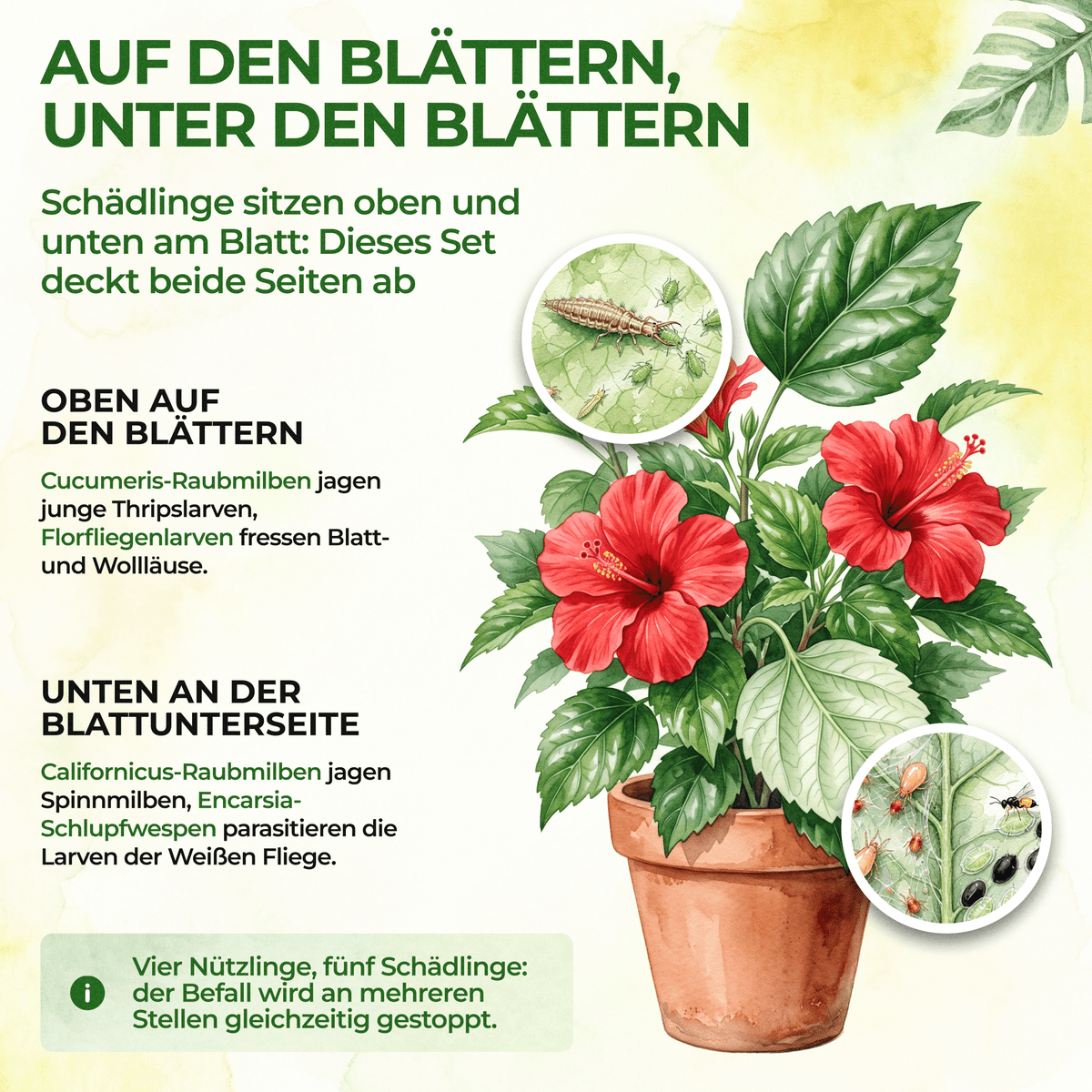 Schädlingsabwehr-Bundle für 10 Pflanzen - Green Guardia - Ihr Experte für Schädlinge und Pflanzen