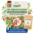 Nematodos SF contra la polilla de la manzana