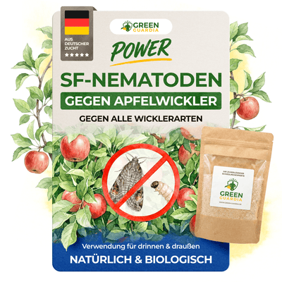 SF - Nematoden gegen Apfelwickler - Green Guardia - Ihr Experte für Schädlinge und Pflanzen