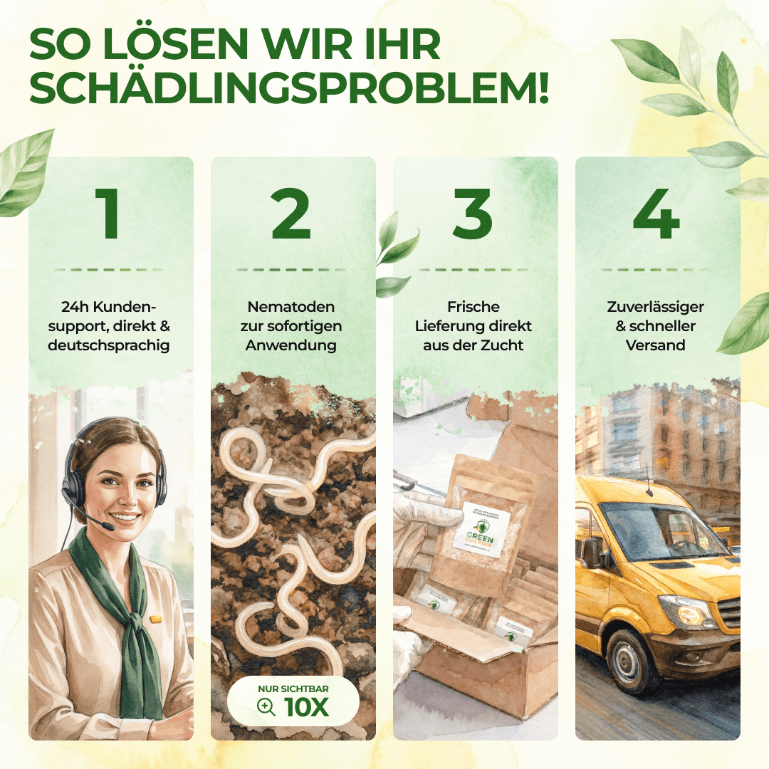 SF - Nematoden gegen Erdflöhe - Green Guardia - Ihr Experte für Schädlinge und Pflanzen