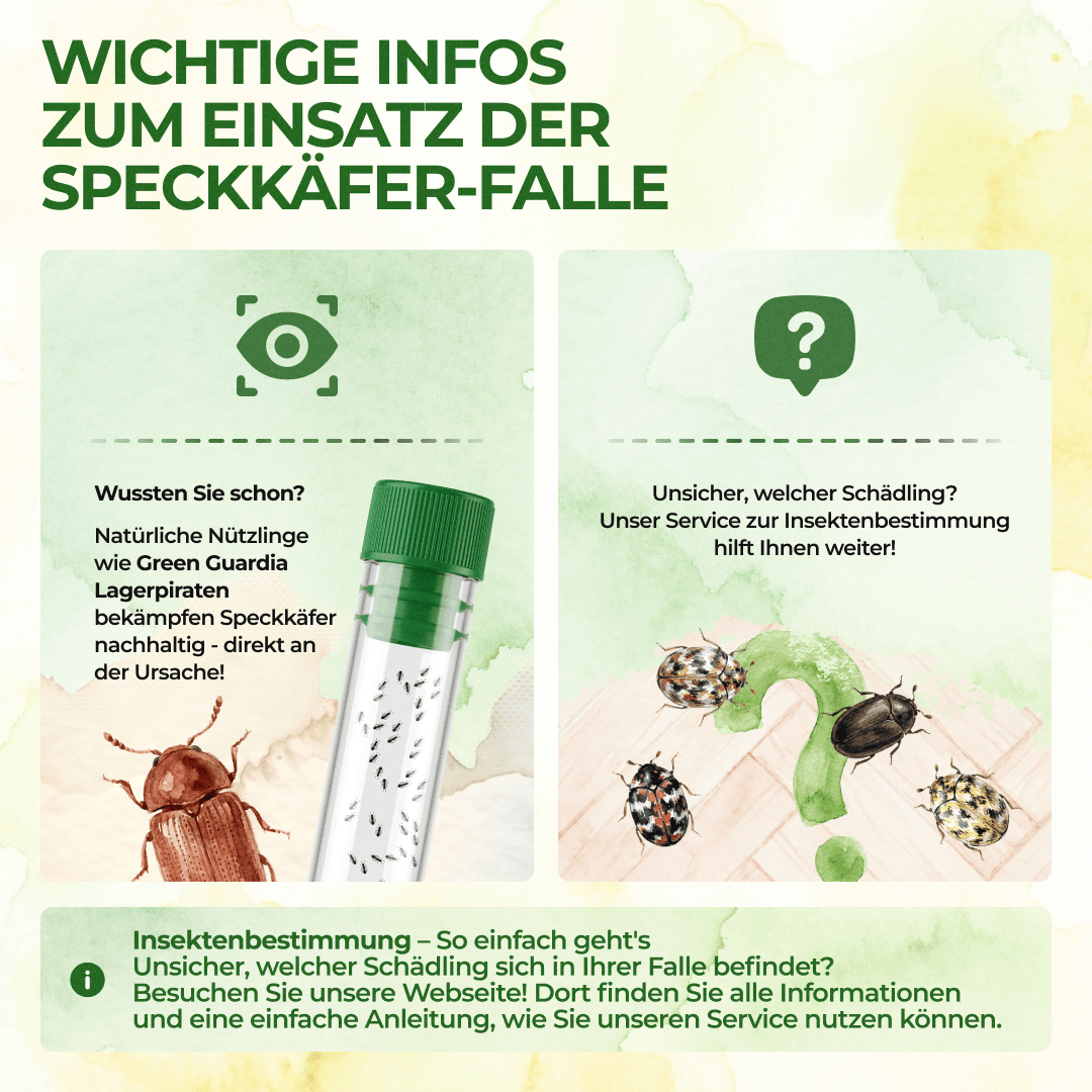 Speckkäfer Falle - Green Guardia - Ihr Experte für Schädlinge und Pflanzen