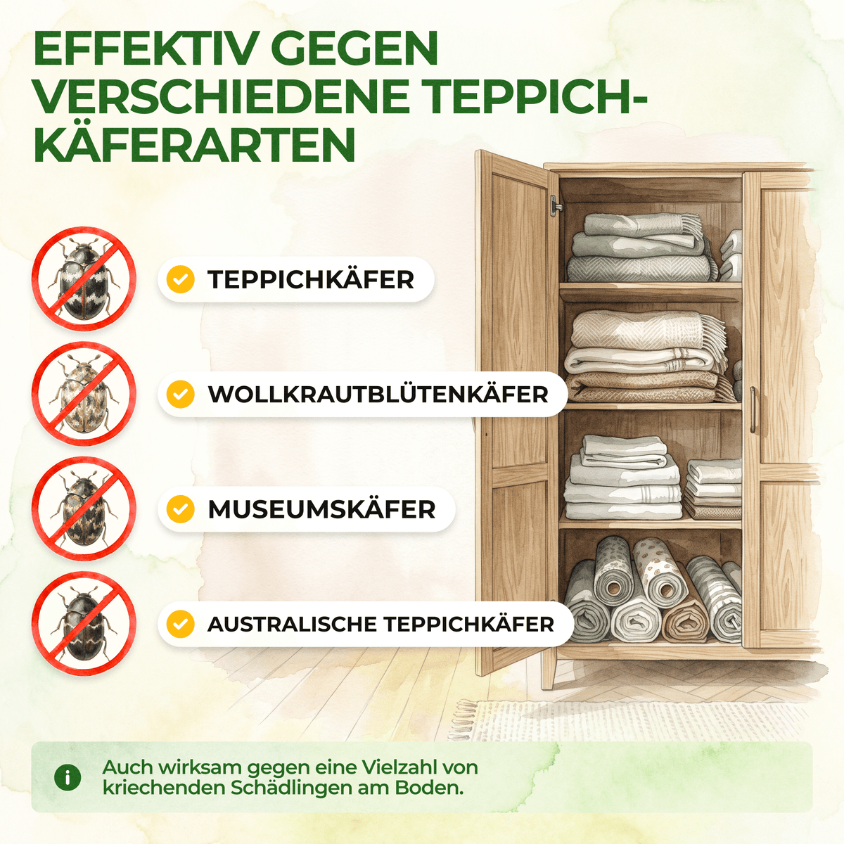 Teppichkäfer Falle - Green Guardia - Ihr Experte für Schädlinge und Pflanzen