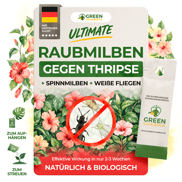 Ultimate Raubmilben gegen Thripse, Spinnmilben & Weie Fliegen