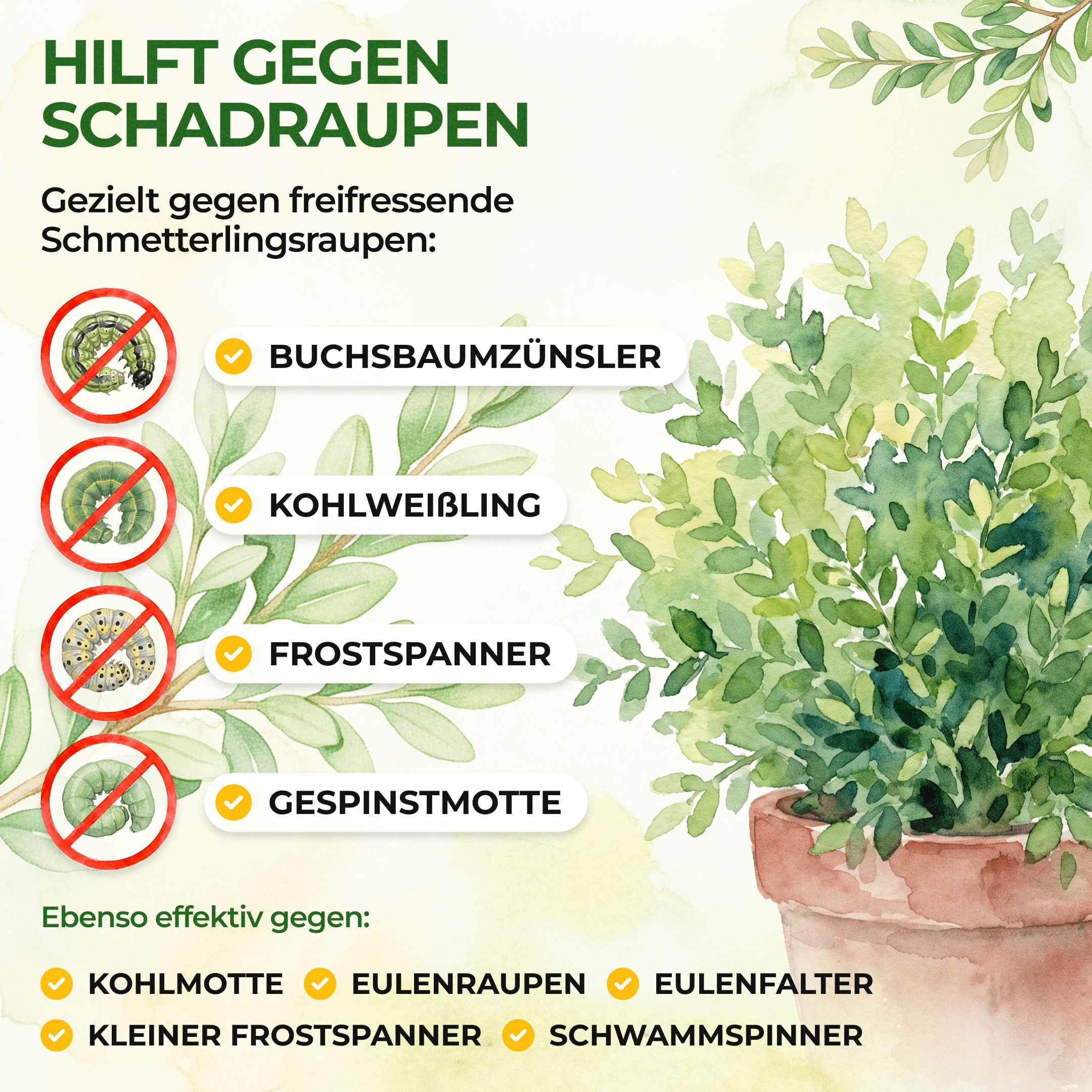 XenTari® Zünslerfrei & Raupenfrei, 2 x 3g - Green Guardia - Ihr Experte für Schädlinge und Pflanzen